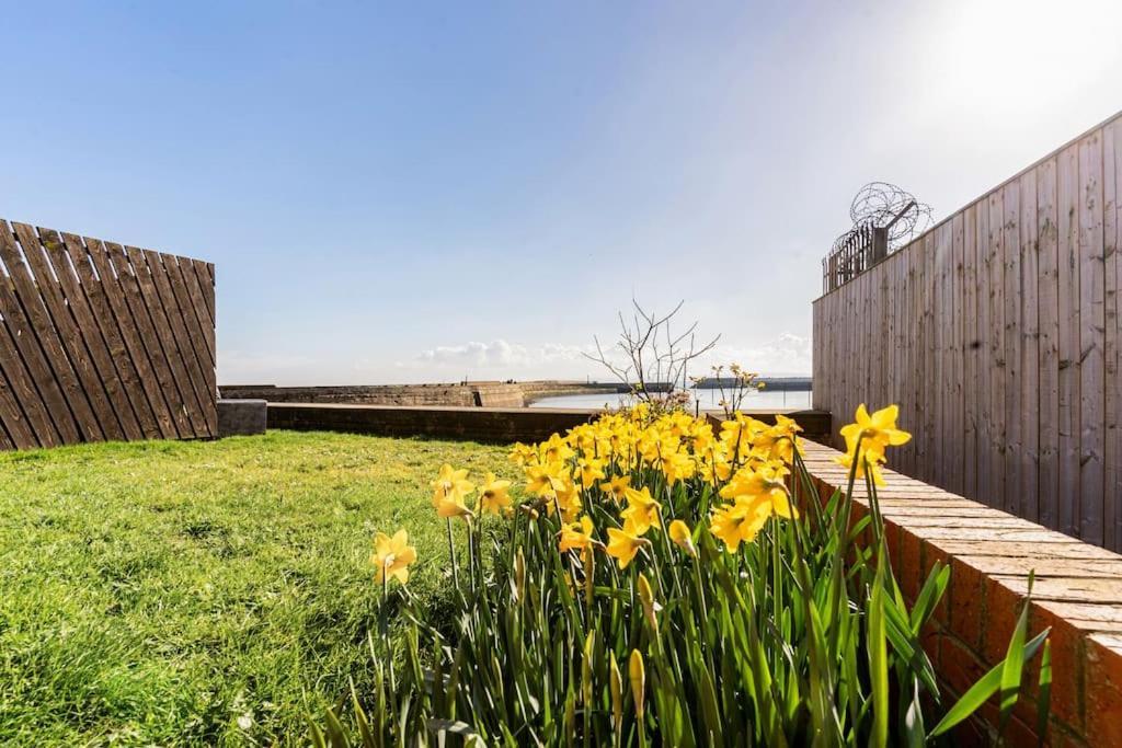Stunning Ground Floor Hartlepool Marina Apartment Exteriör bild